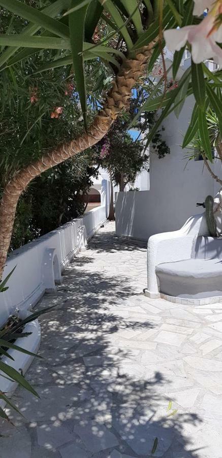 Apartamento Gogos House *